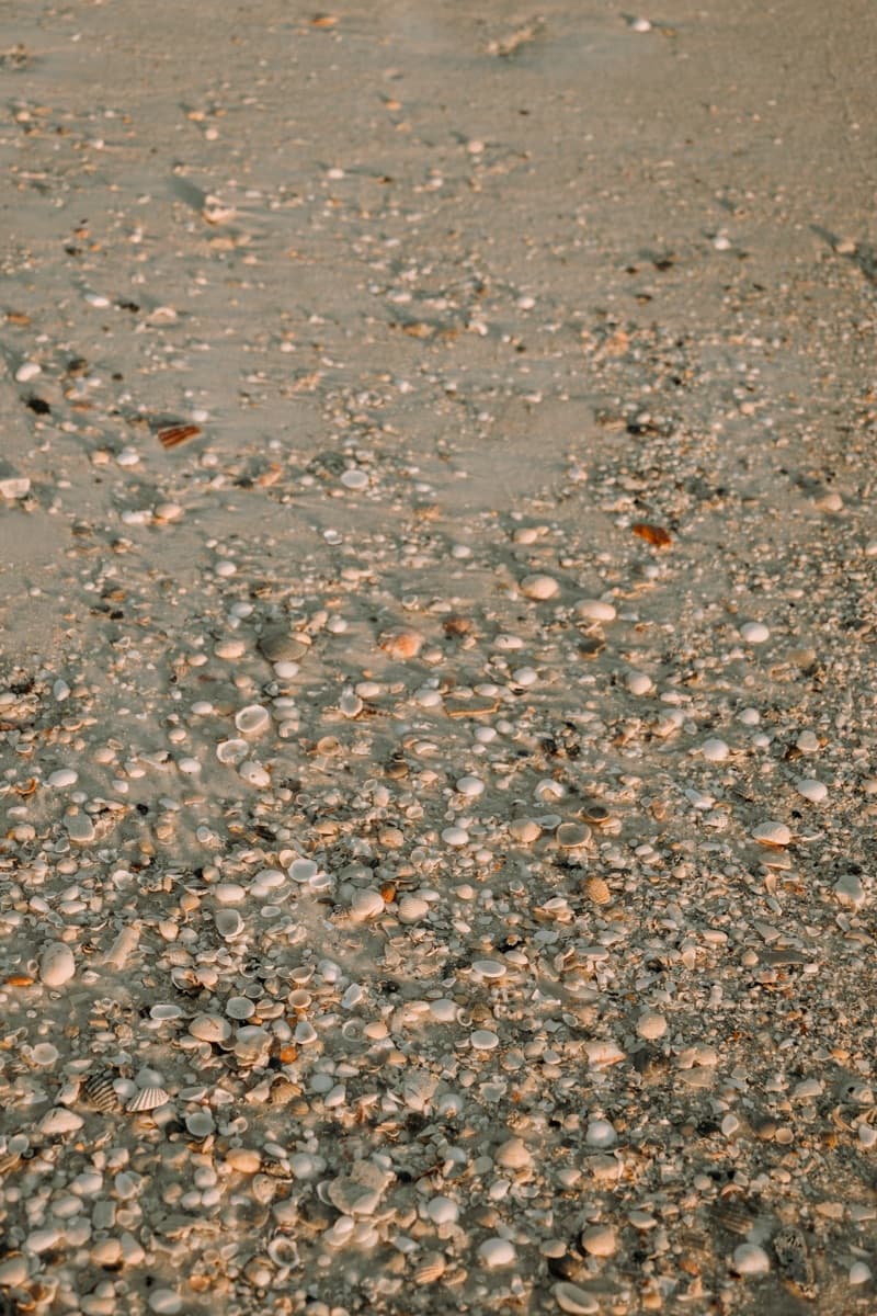 Beach bonfire near Rosemary Beach Access